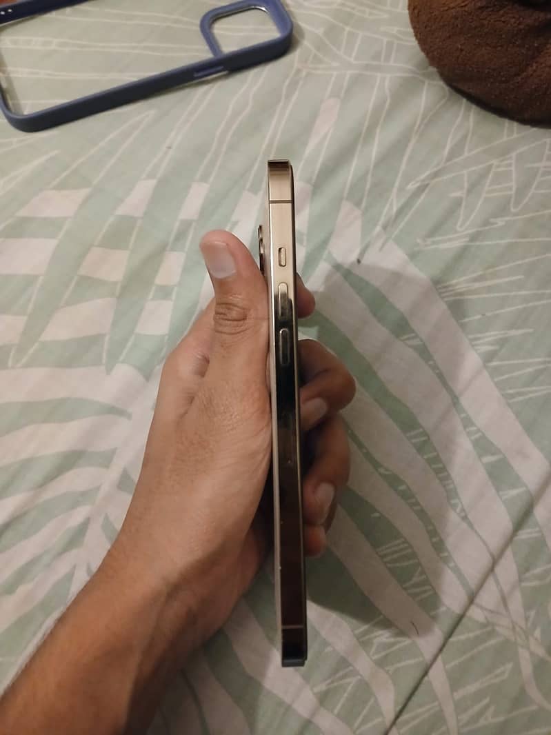 Apple iPhone 12 Pro Max 3