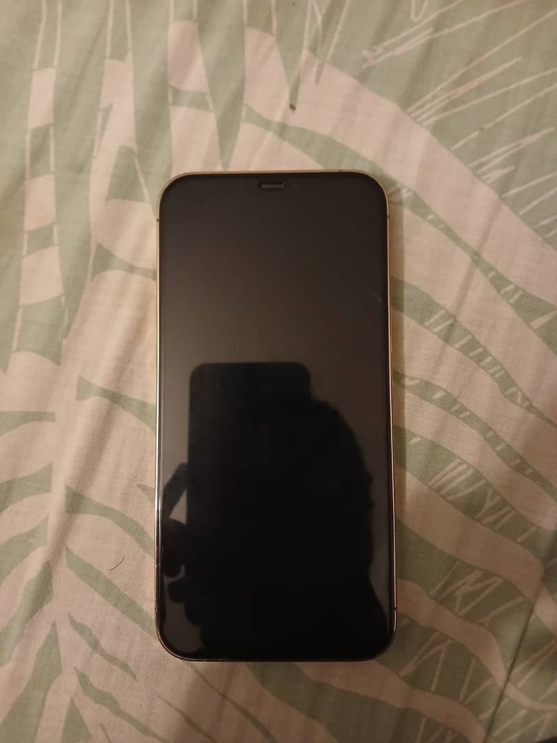 Apple iPhone 12 Pro Max 5