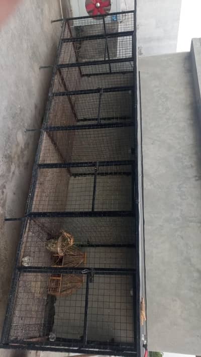 dog iron cage
