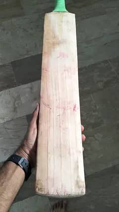 plan English willow bat