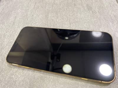 Apple iPhone 12 Pro