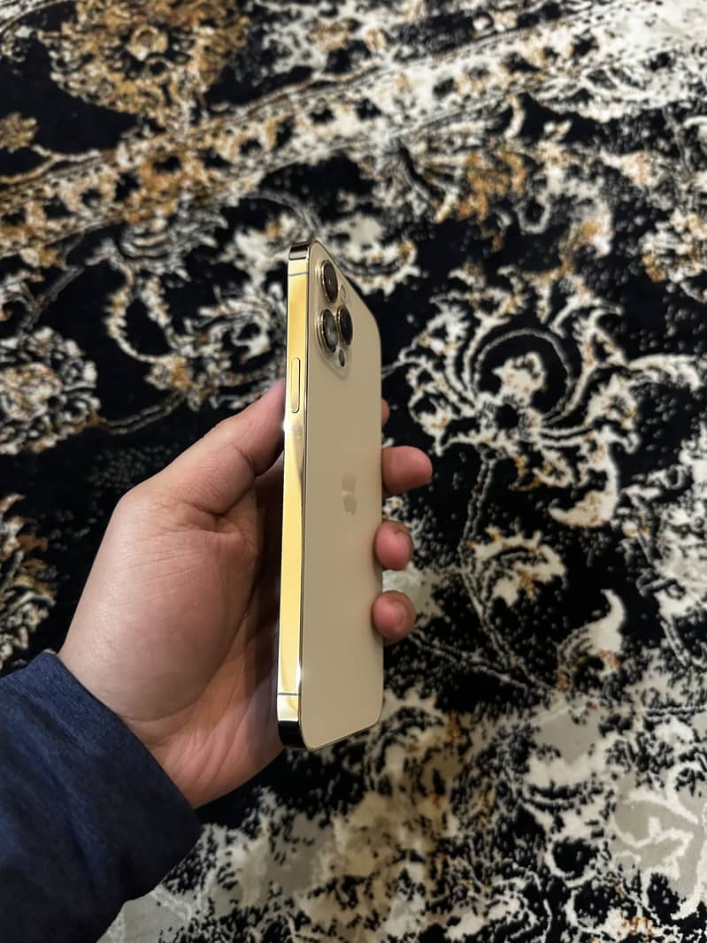 Apple iPhone 12 Pro Max 1