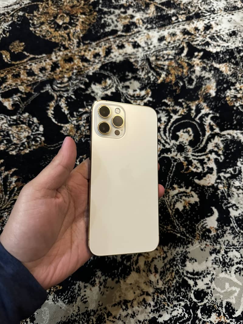Apple iPhone 12 Pro Max 2