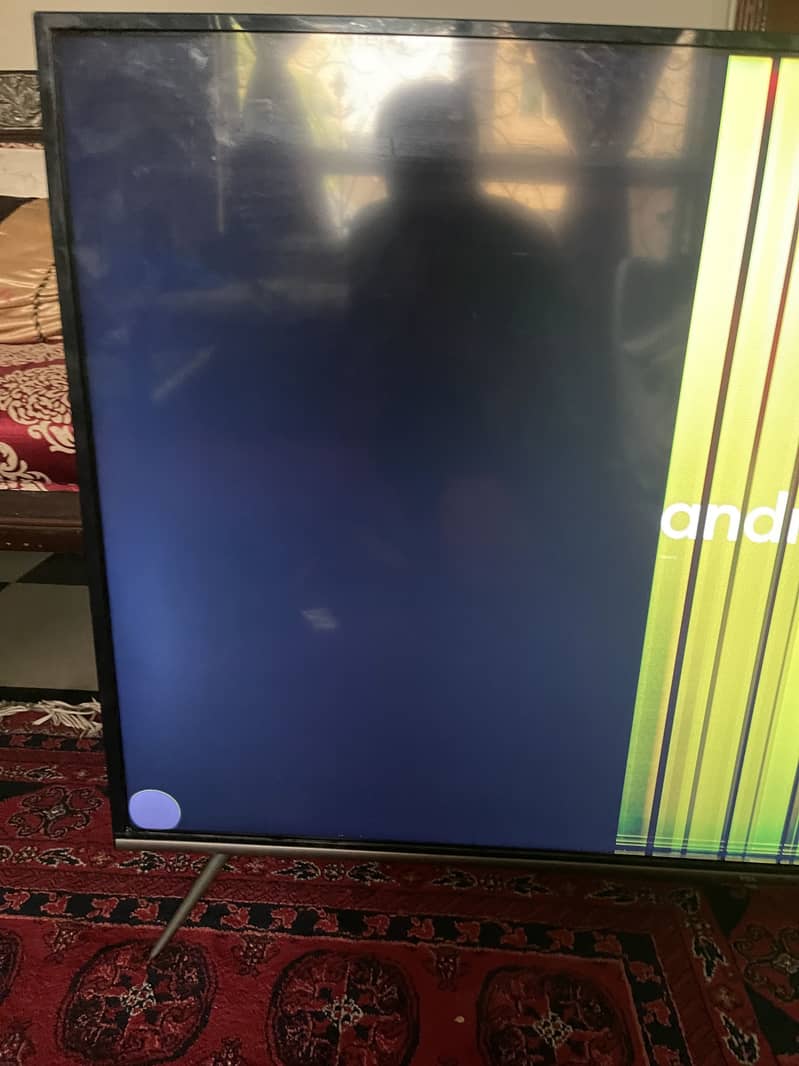 Tcl 55inch panel issue 1