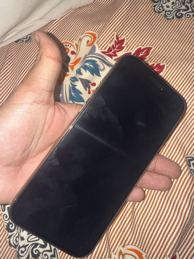 Apple iPhone 16 Pro Max 1