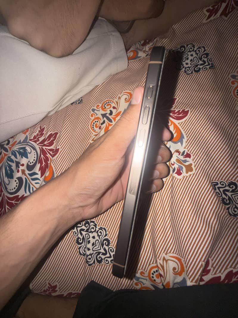 Apple iPhone 16 Pro Max 2
