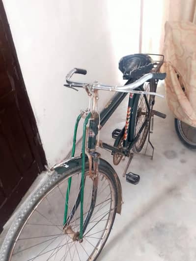 japani cycle