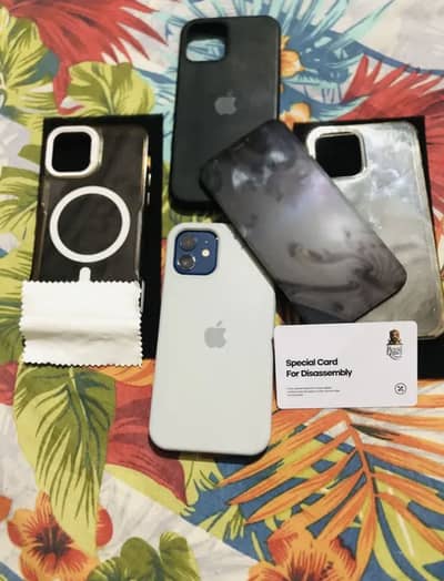 iPhone 12 PTA Panel Chnge only