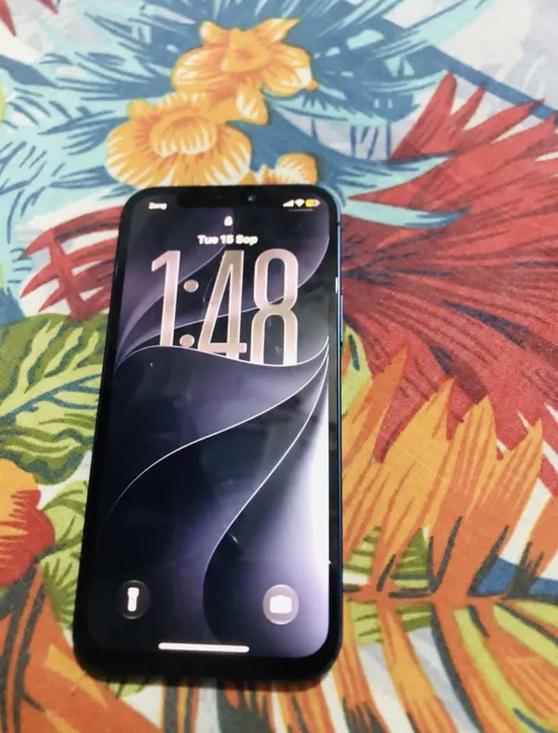 iPhone 12 PTA Offical Approved 7