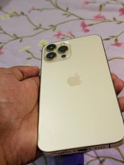Apple iPhone 12 Pro Max