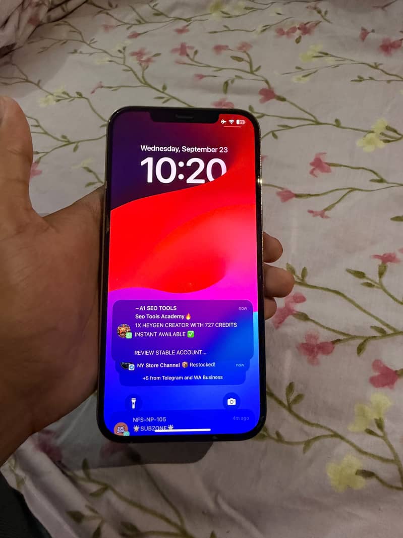 Apple iPhone 12 Pro Max 1