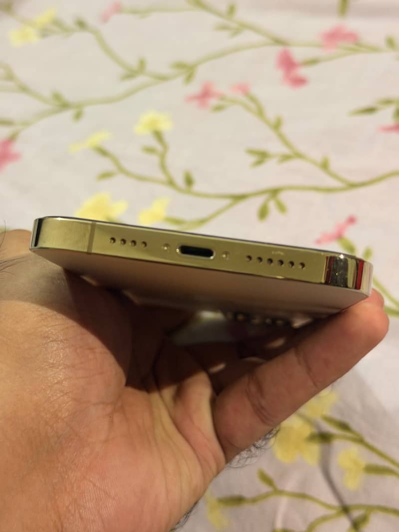 Apple iPhone 12 Pro Max 2