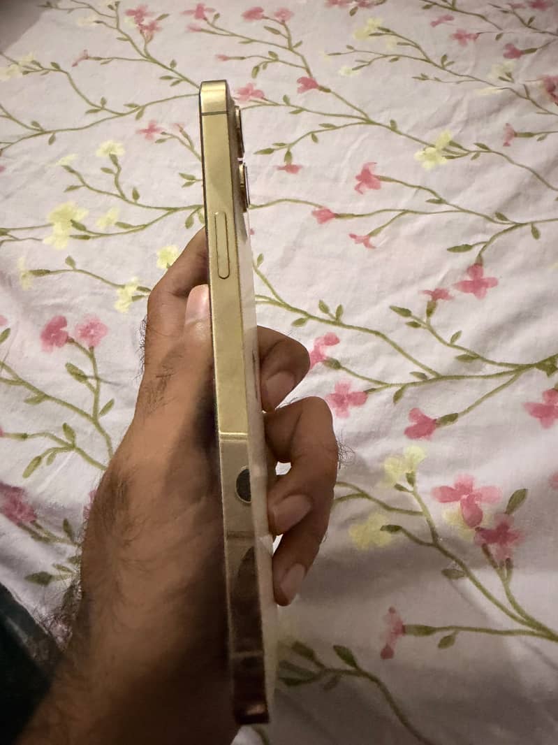 Apple iPhone 12 Pro Max 4