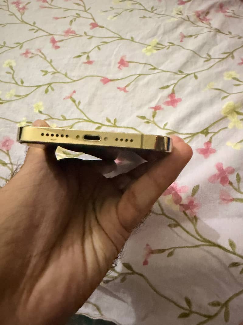 Apple iPhone 12 Pro Max 5