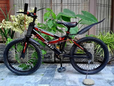 kids bicycle