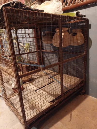 Dog cage