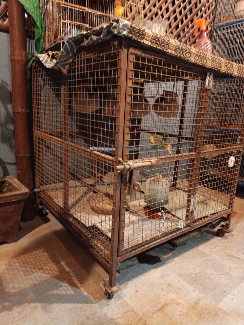 Dog cage 1