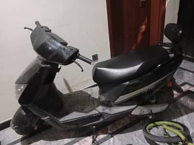 Scotty for sale