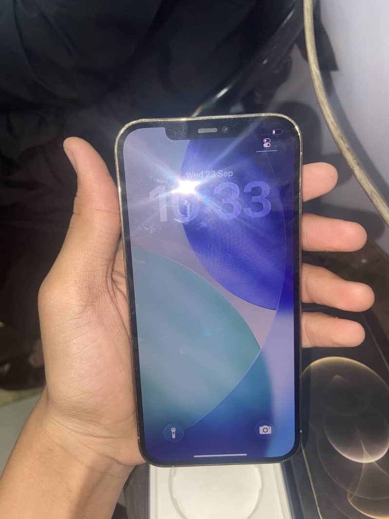 Apple iPhone 12 Pro Max 3