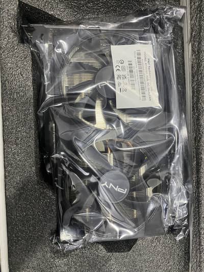 PNY RTX 5060 8GB