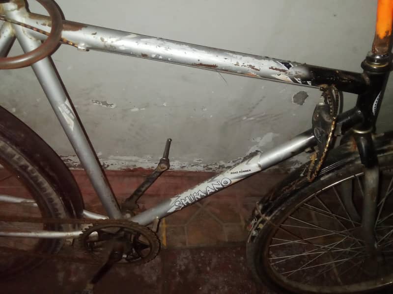 phonex cycle 1