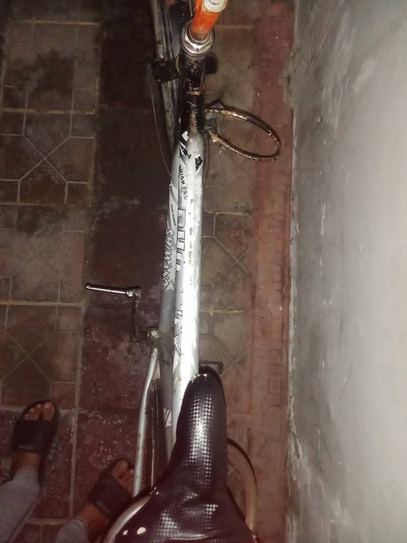 phonex cycle 3