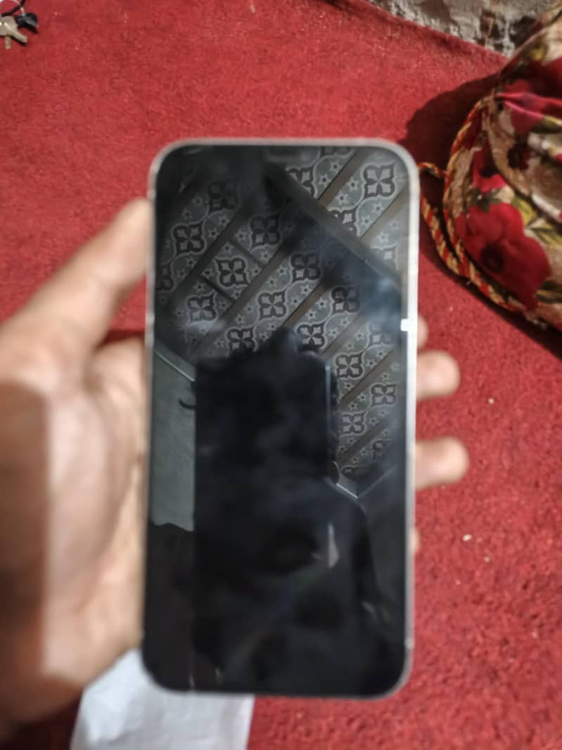 Apple iPhone 12 Pro Max 1