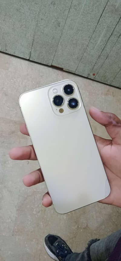 Apple iPhone 13 Pro Max