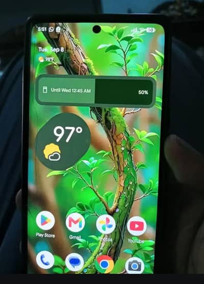 Google Pixel 6 Pro / Exchange possible