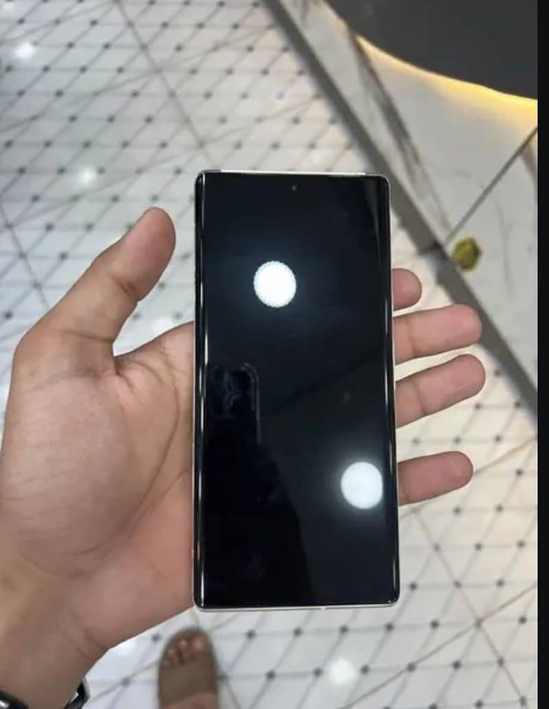 Google Pixel 6 Pro 1