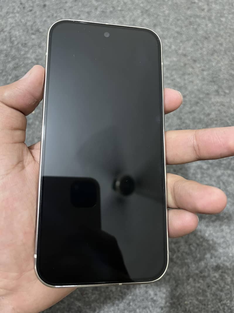 Google Pixel 9 Pro 1