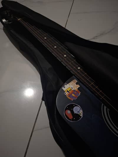 Acoustic Guitar