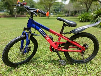 China Imported 20" bicycle for sale.