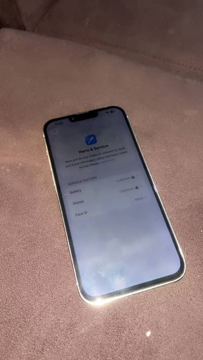 Apple iPhone 13 Pro Max