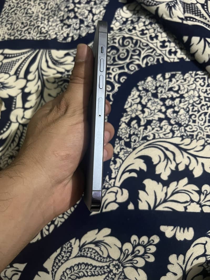 Apple iPhone 13 Pro Max 3