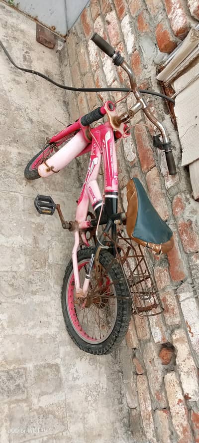 kids bicycles arjent sale