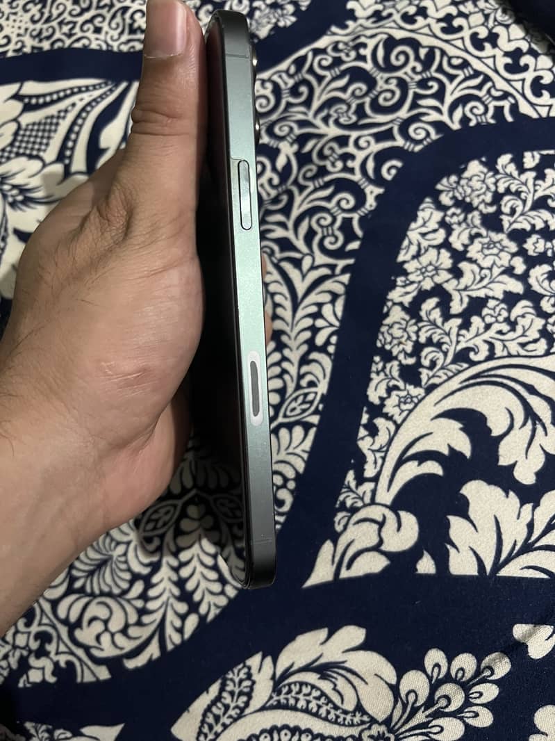 Apple iPhone 13 Pro Max 1