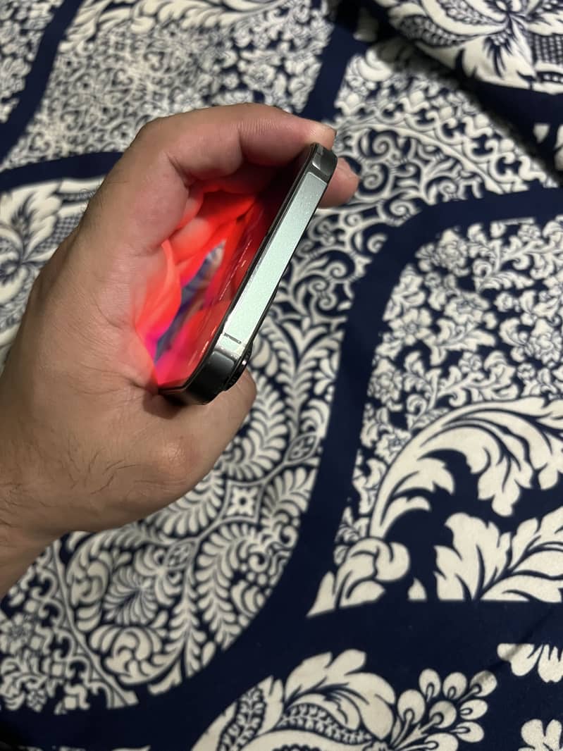 Apple iPhone 13 Pro Max 2