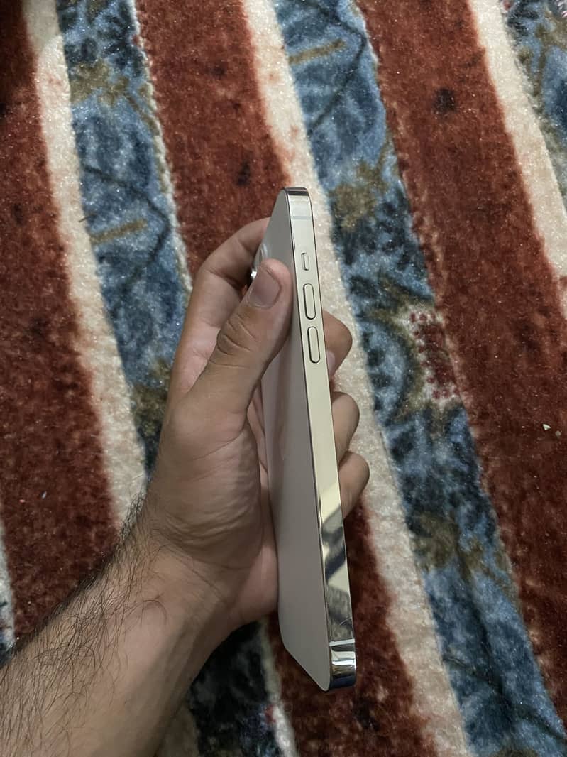 Apple iPhone 14 Pro Max 1