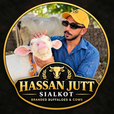 hassan jutt