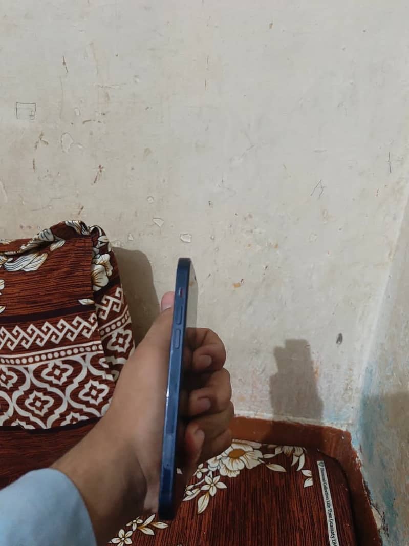 iPhone 12 6