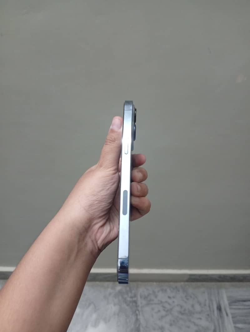Apple iPhone 13 Pro Max 1