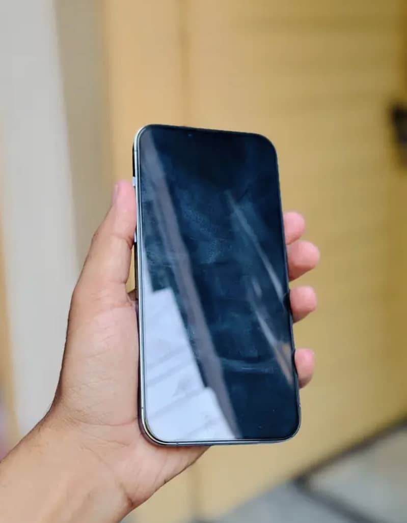 iPhone 13 Pro Max 1
