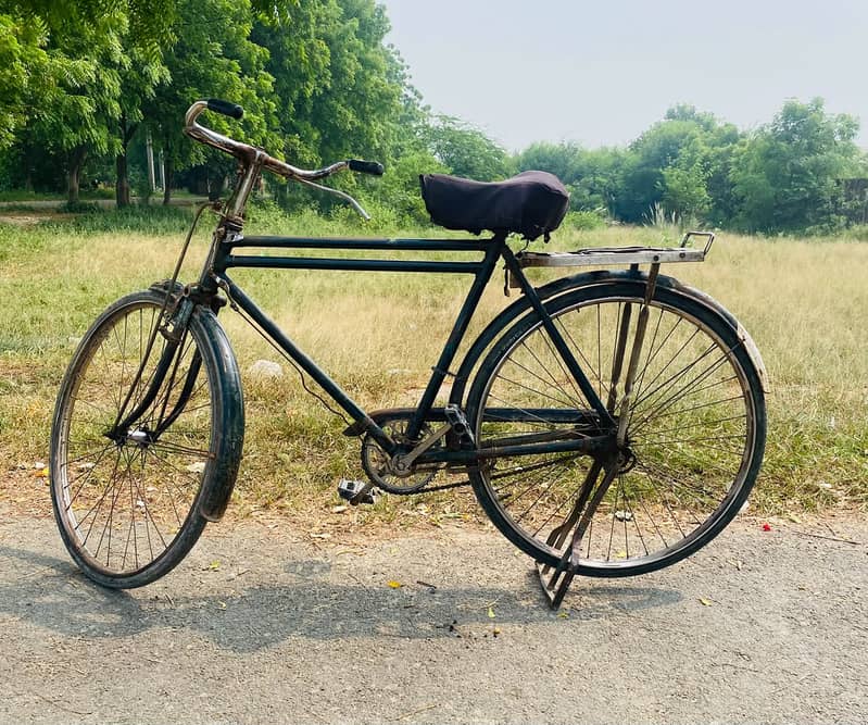 Baba Cycle 1