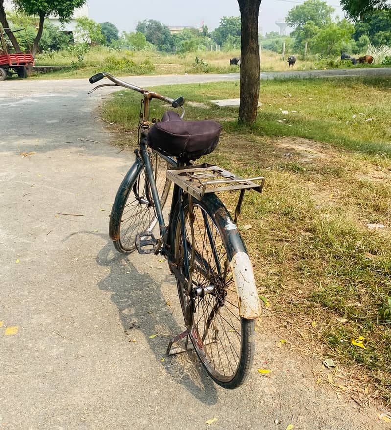 Baba Cycle 2