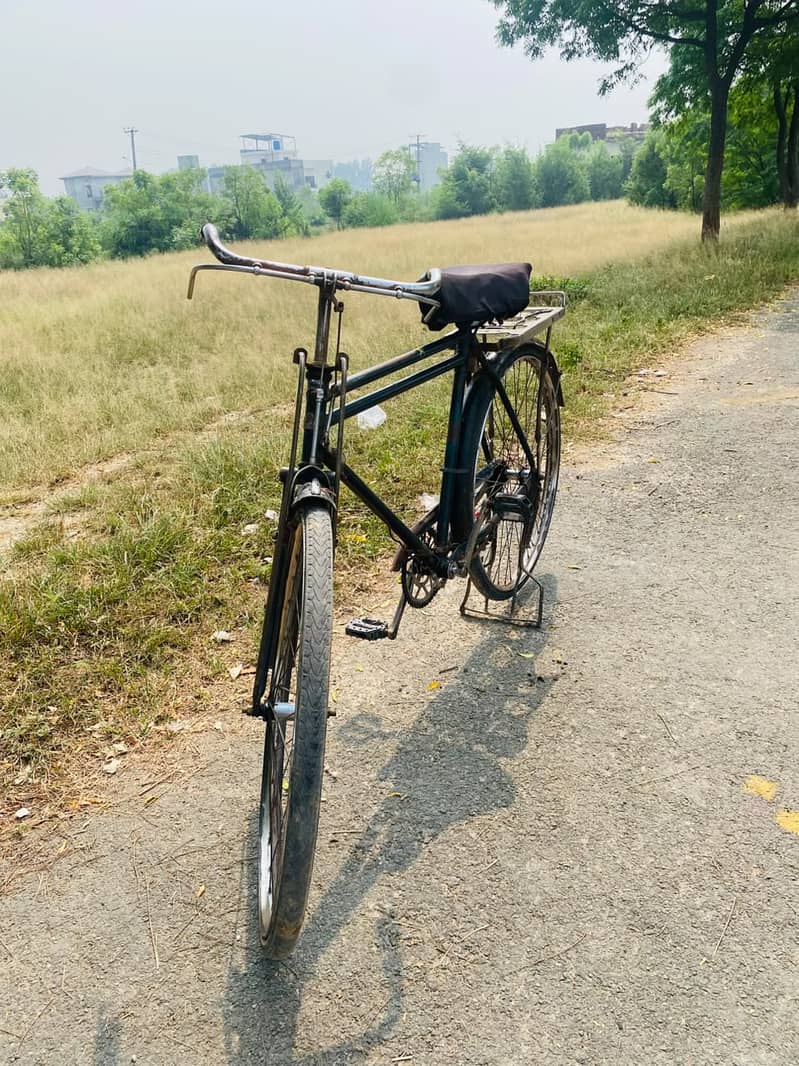 Baba Cycle 3