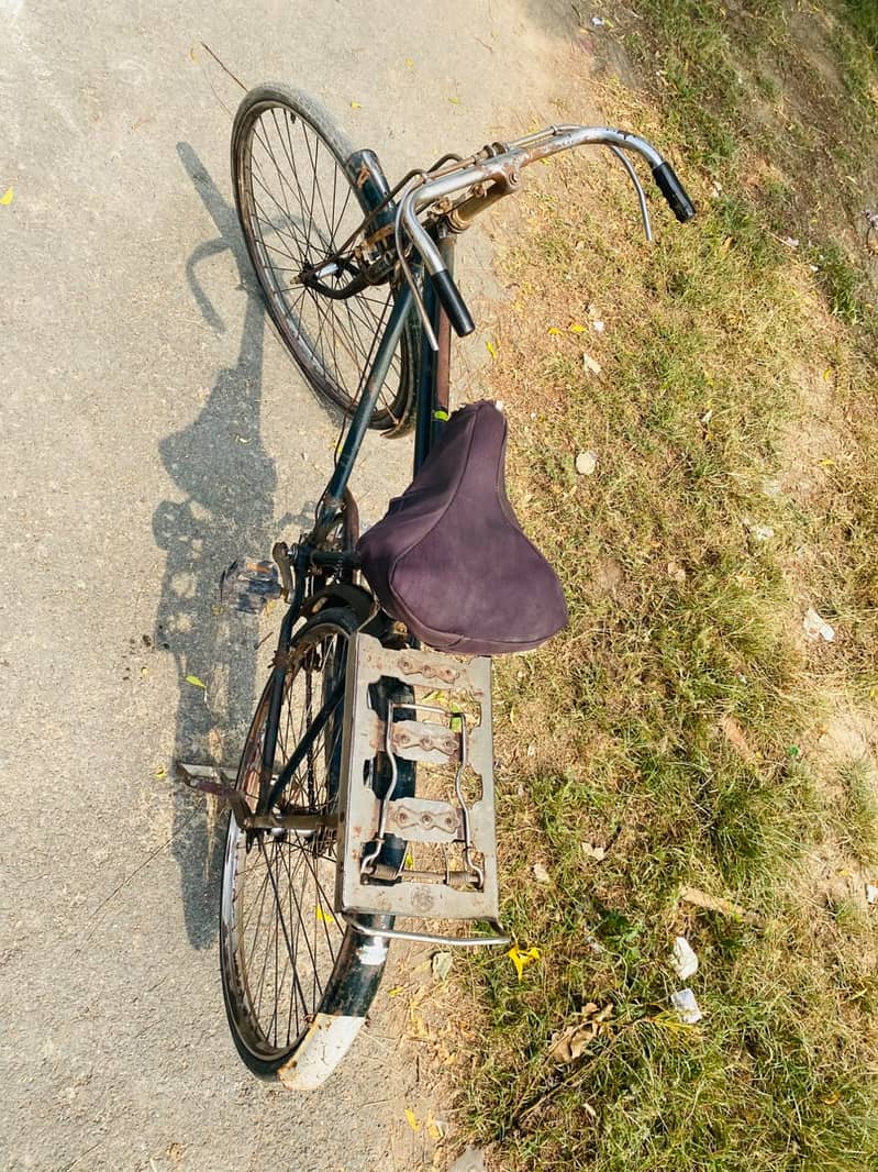 Baba Cycle 4