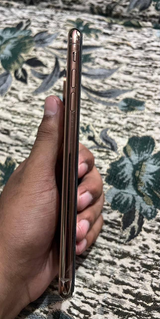Apple iPhone XS Max 2