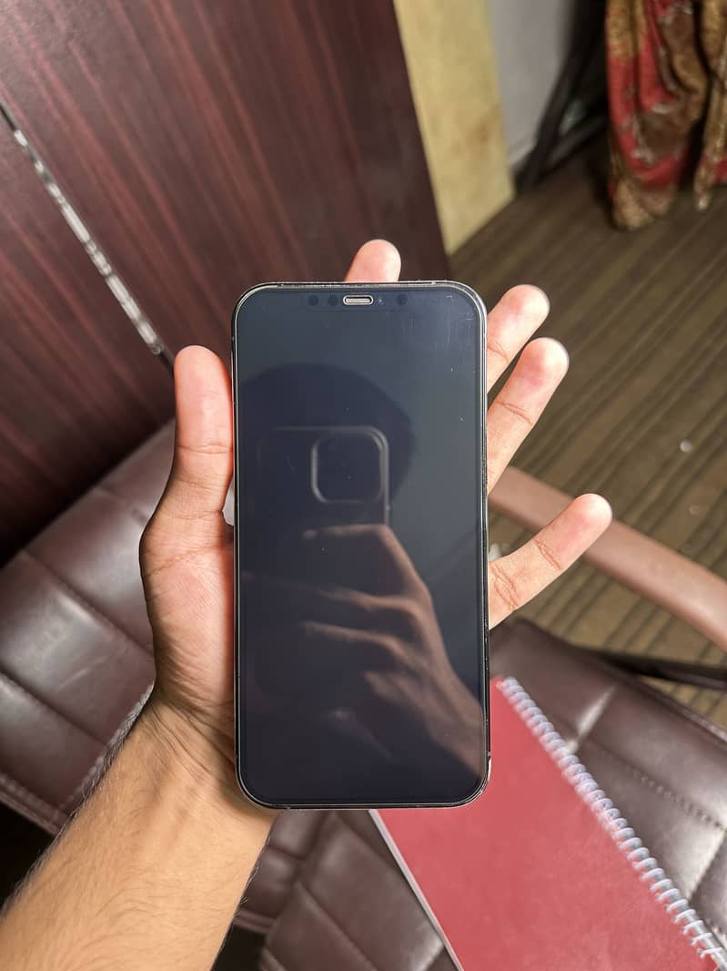 Apple iPhone 12 Pro Max 1