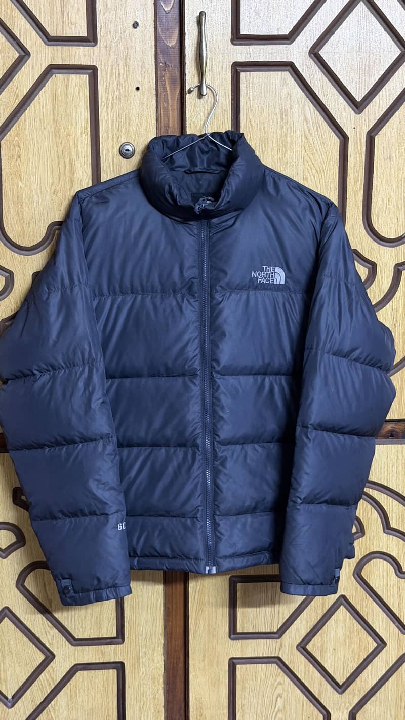 North face goose down jacket 2